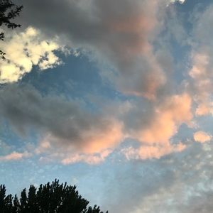 Meet your Posher, Carmen